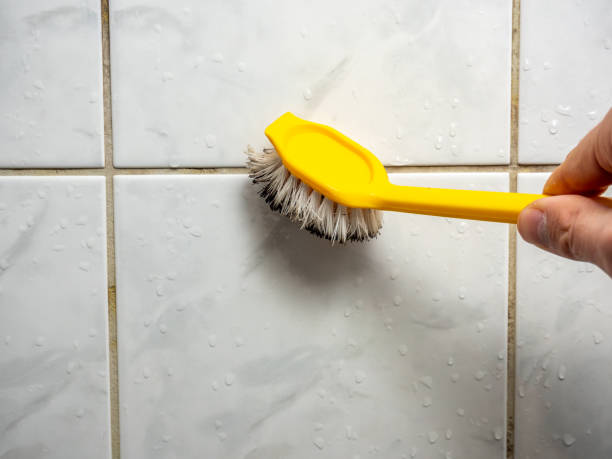 Best Water Damage Restoration  in Winnebago, IL