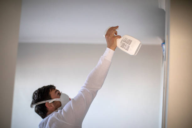 Best Attic Mold Removal  in Winnebago, IL