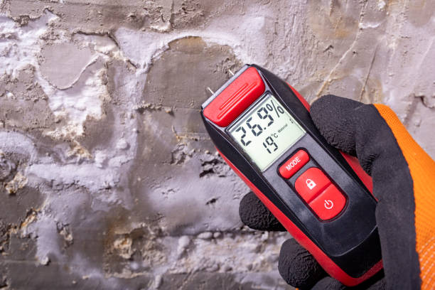 Best Emergency Mold Removal  in Winnebago, IL